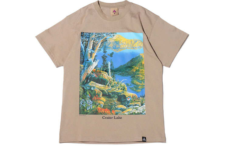 Nike Nike ACG T Shirts Men's Khaki Crew Neck Moderate Straight Fit