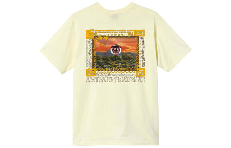 Stussy Mojave T shirt
