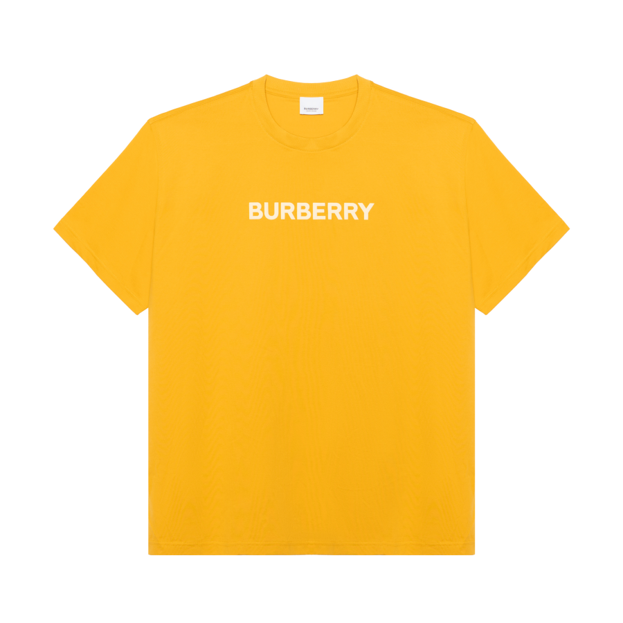 Burberry 【Previous Season】logo print cotton T-shirt