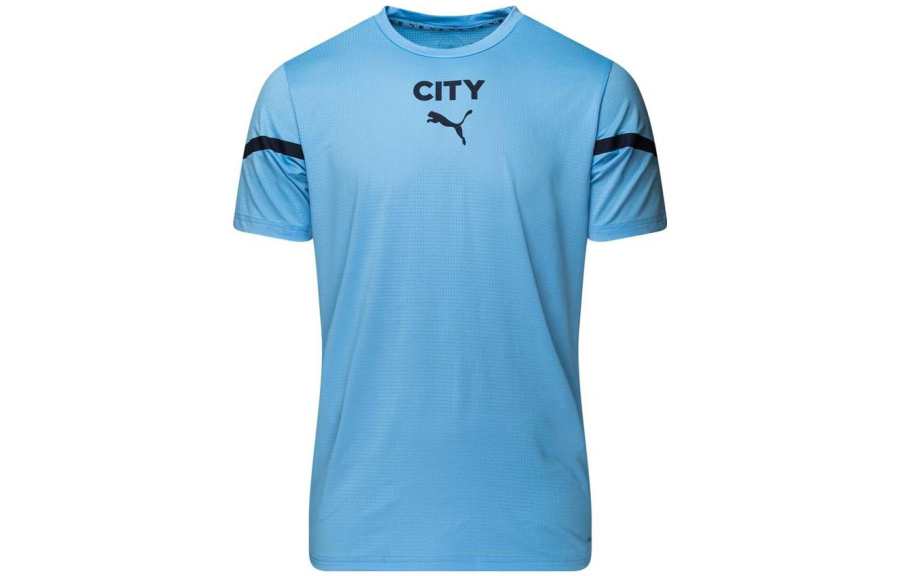 PUMA T Shirts Men's Blue Crew Neck Moderate Straight Fit