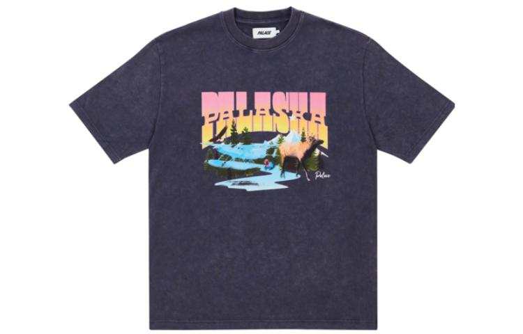 PALACE Palaska Dye T Shirt