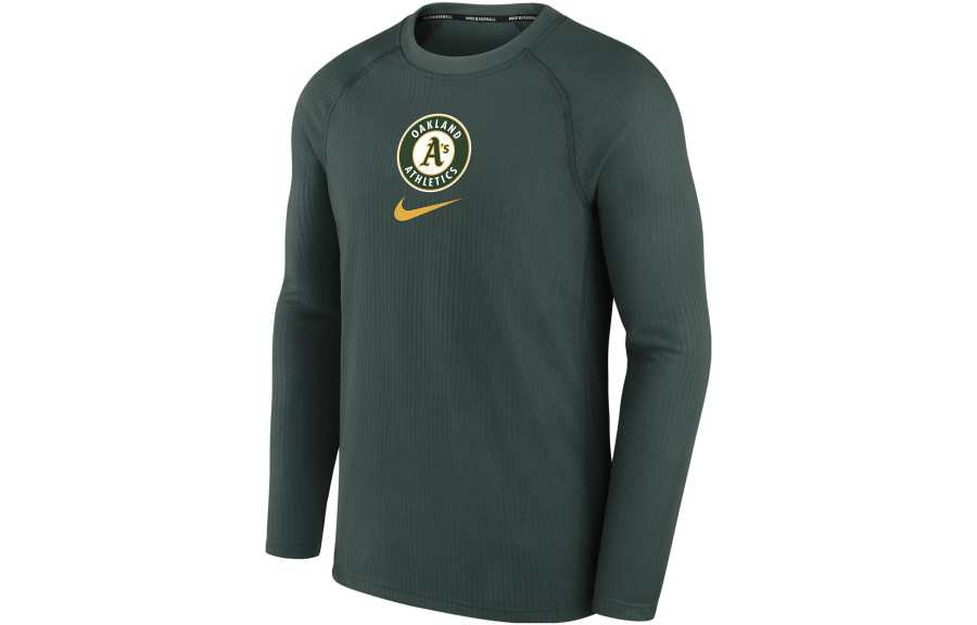 Nike Nike T Shirts Men's Dark Green Crew Neck Moderate Straight Fit