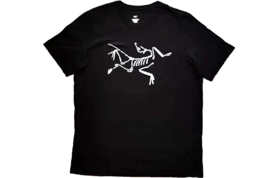 Arcteryx IONIA T Shirts Men's Crew Neck Moderate Straight Fit