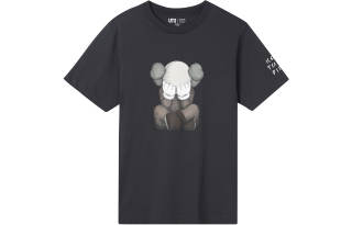UNIQLO KAWS X UNIQLO Tokyo First Tee Asia Sizing
