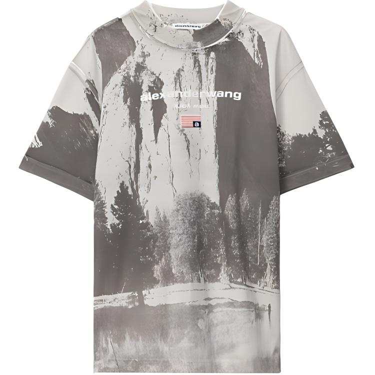 Alexander Wang T Shirts Men's Gray Crew Neck Moderate Straight Fit