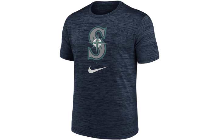 Nike Nike T Shirts Men's Blue Crew Neck Moderate Straight Fit