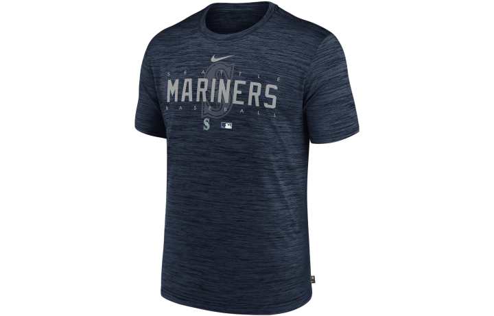 Nike Nike T Shirts Men's Dusty Blue Crew Neck Moderate