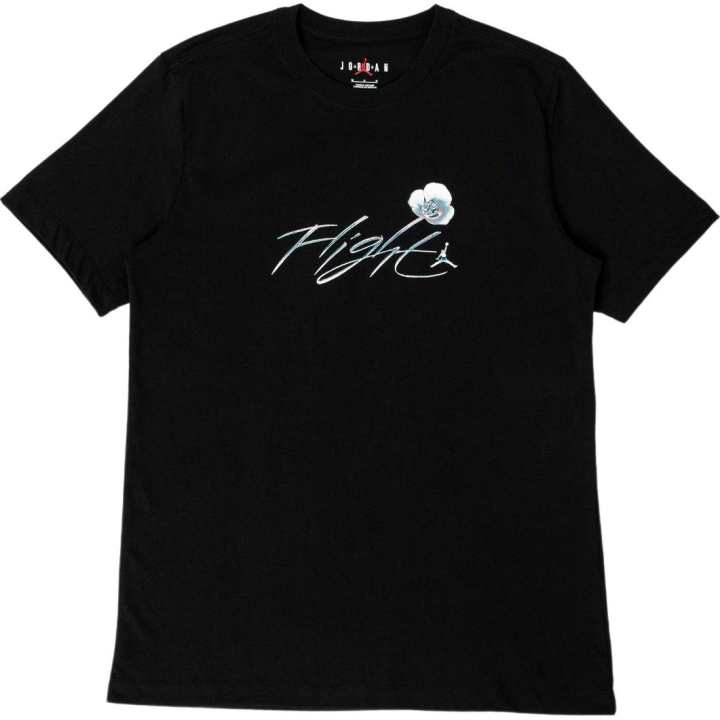 Nike Jordan Metallic Spring Graphic Short Sleeve T shirt