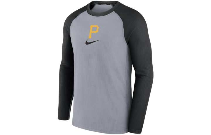 Nike Nike T Shirts Men's Gray Crew Neck Moderate