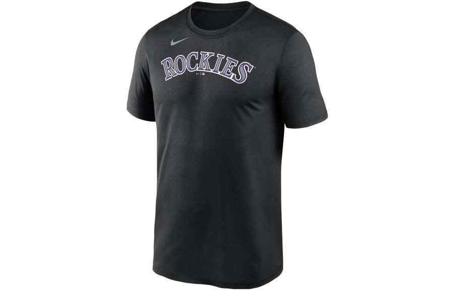 Nike Nike Oregon Hometown Legend Men's Nike Dri FIT College T Shirt