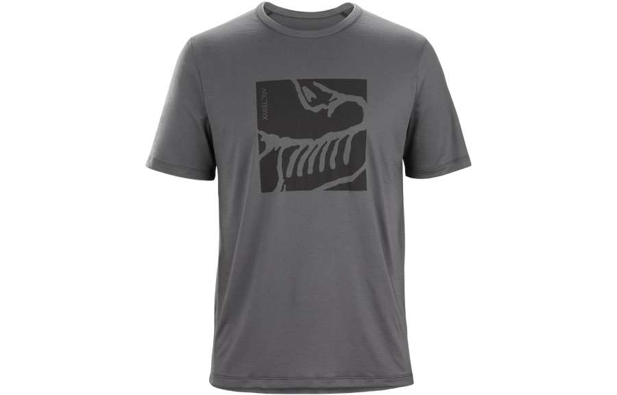 Arcteryx ERIS T Shirts Men's Crew Neck Moderate
