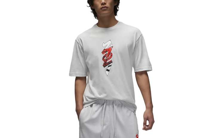 Nike Nike T Shirts Men's Light Gray Crew Neck Moderate Straight Fit