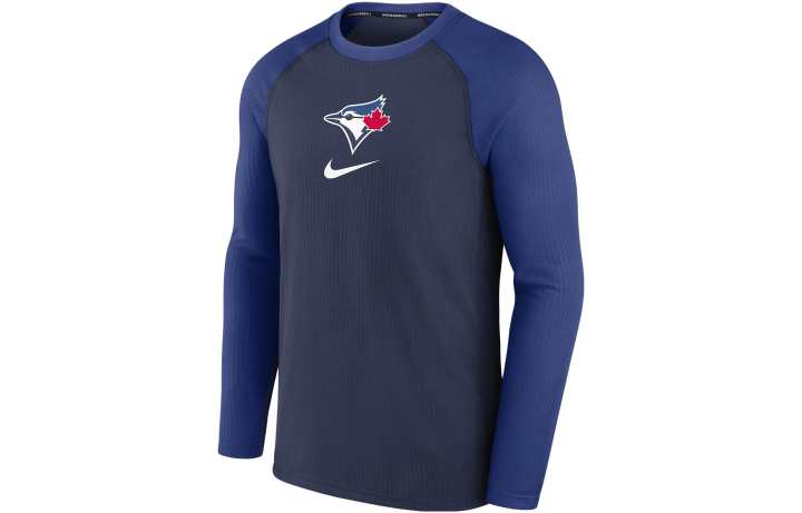 Nike Nike T Shirts Men's Blue Crew Neck Moderate Straight Fit
