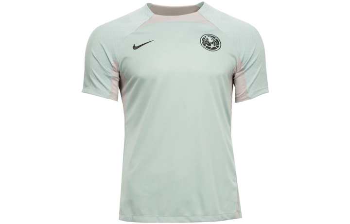 Nike Nike T Shirts Men's Light Cyan Crew Neck Thin Straight Fit