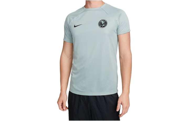Nike Nike T Shirts Men's Sage Green Crew Neck Moderate Straight Fit