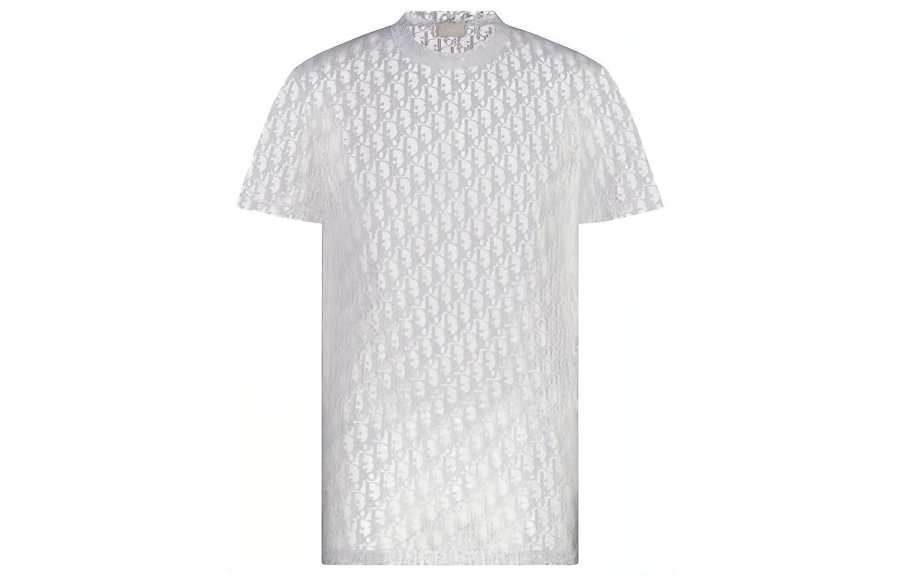 DIOR DIOR Sheer Oblique T Shirt