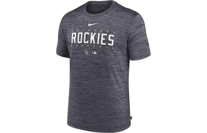 Nike Nike Florida State Sideline Velocity Men's Nike Dri-FIT College T-Shirt
