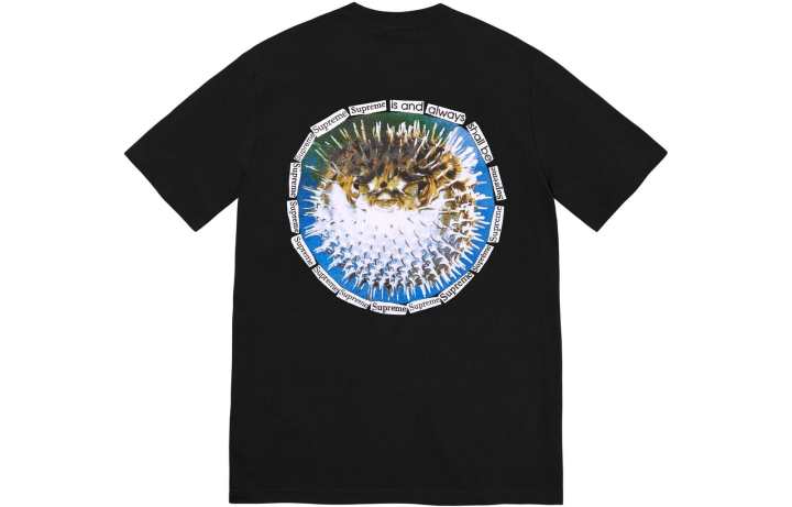 Supreme Supreme Blowfish Tee