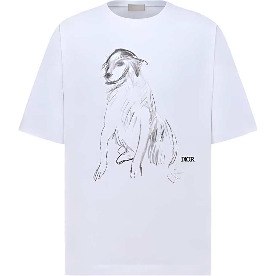 DIOR T Shirts Men's White Crew Neck Moderate Straight Fit