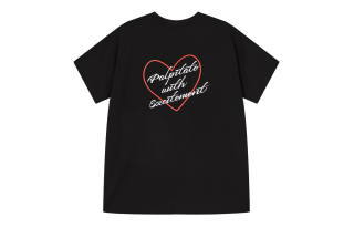 Pony T Shirts Unisex Crew Neck Moderate Straight Fit