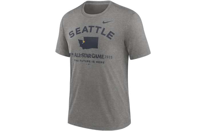 Nike Nike T Shirts Men's Gray Crew Neck Moderate Straight Fit
