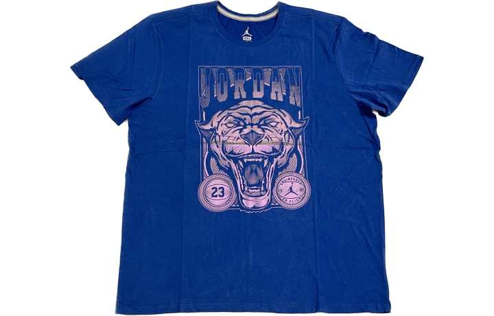Jordan Jordan T Shirts Men's Blue Crew Neck Moderate Straight Fit