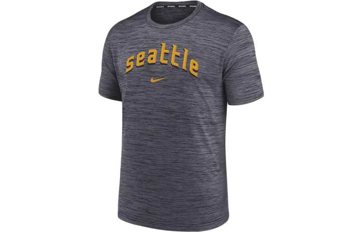 Nike Nike T Shirts Men's Light Gray Crew Neck Moderate Straight Fit