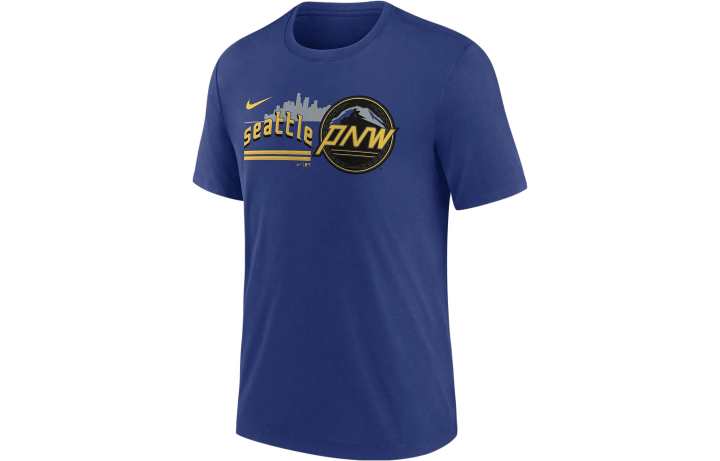 Nike Nike T Shirts Men's Royal Blue Crew Neck Moderate Straight Fit