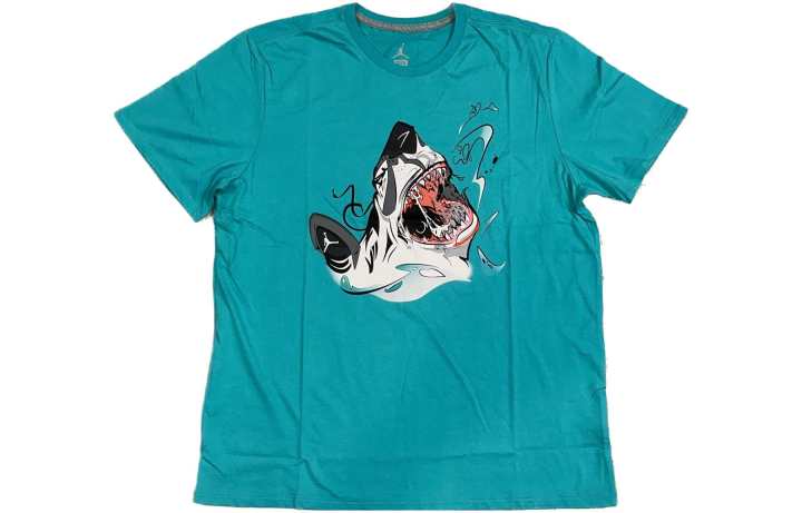 Jordan Jordan T Shirts Men's Sky Blue Crew Neck Moderate Straight Fit