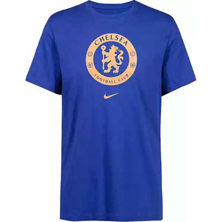 Nike Nike T Shirts Men's Blue Crew Neck Moderate Straight Fit