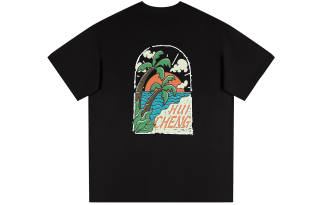HCHUICHENG T Shirts Unisex Crew Neck Moderate Straight Fit