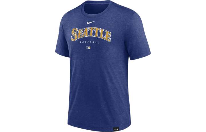 Nike Nike T Shirts Men's Blue Crew Neck Moderate Straight Fit