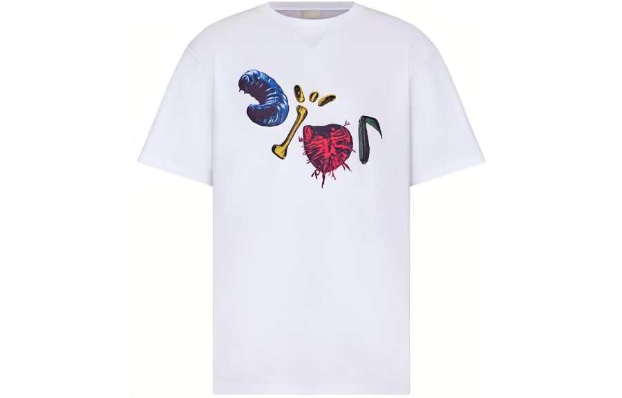 DIOR DIOR X Cactus Jack Oversized T Shirt