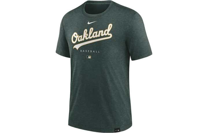 Nike Nike T Shirts Men's Olive Crew Neck Moderate Straight Fit