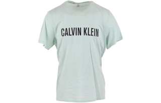 Calvin Klein T Shirts Men's Light Green Crew Neck Moderate Straight Fit