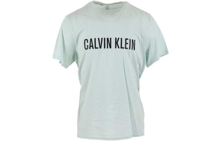 Calvin Klein Calvin Klein T Shirts Men's Light Green Crew Neck Moderate Straight Fit