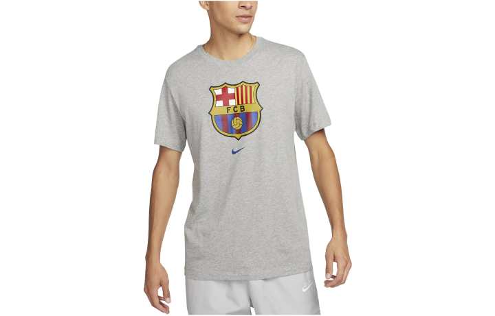 Nike Nike T Shirts Men's Gray Crew Neck Moderate Straight Fit