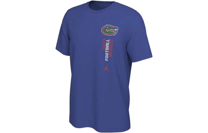 Jordan Jordan T Shirts Men's Blue Crew Neck Moderate Straight Fit