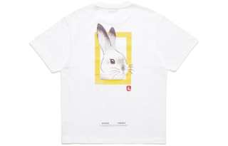 NATIONAL GEOGRAPHIC T Shirts Unisex Crew Neck Moderate Straight Fit