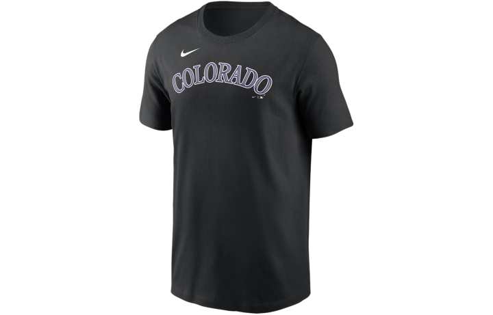 Nike Nike San Francisco Giants City Connect Wordmark Men's Nike Mlb T-Shirt