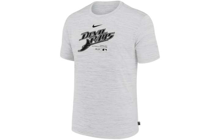 Nike Nike Florida Gators Velocity Baseball Wordmark Stack Men's Nike Dri-FIT College T-Shirt