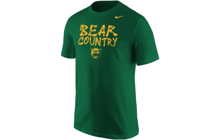 Nike Nike T Shirts Men's Green Crew Neck Moderate Straight Fit