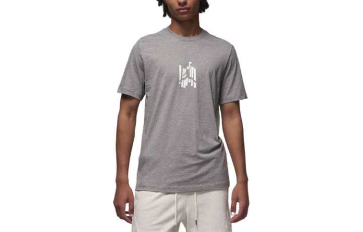 Jordan Jordan T Shirts Men's Gray Crew Neck Moderate Straight Fit