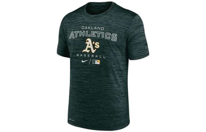 Nike Nike Michigan State Sideline Velocity Men's Nike Dri FIT College T Shirt