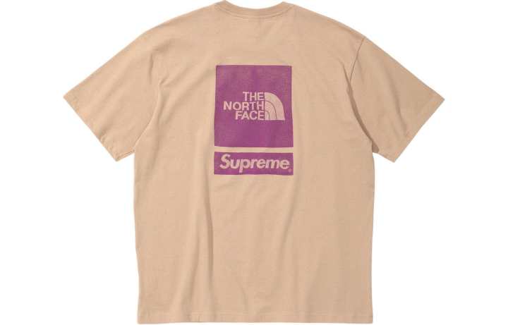 Supreme Supreme The North Face S/S Top