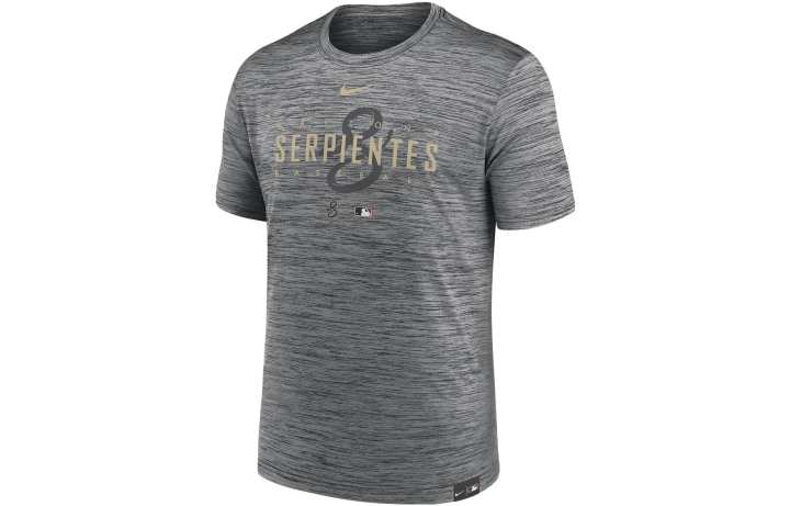 Nike Nike T Shirts Men's Gray Crew Neck Moderate Other