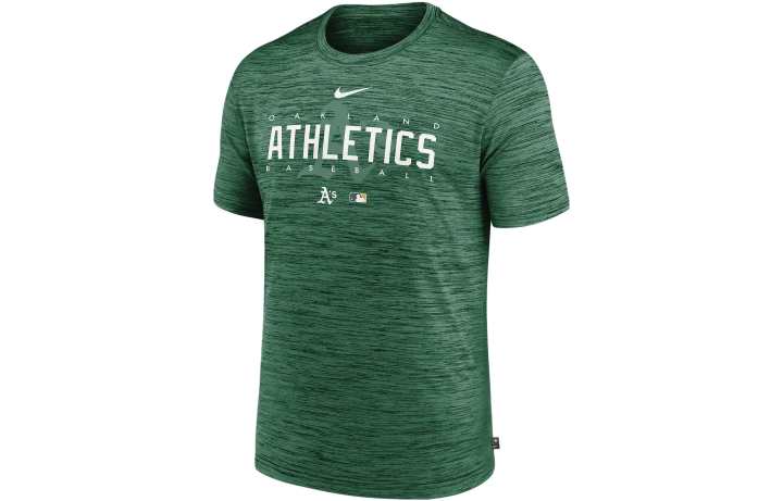 Nike Nike T Shirts Men's Green Crew Neck Moderate Straight Fit