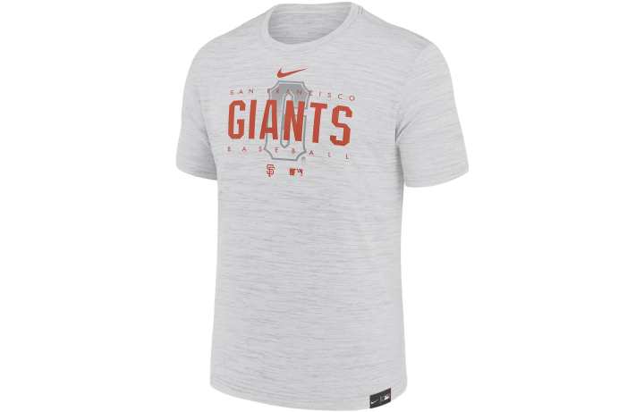 Nike Nike T Shirts Men's Gray Crew Neck Moderate Straight Fit