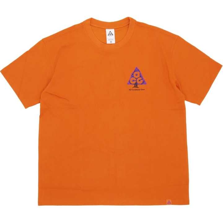 Nike Nike Acg Wildwood T shirt