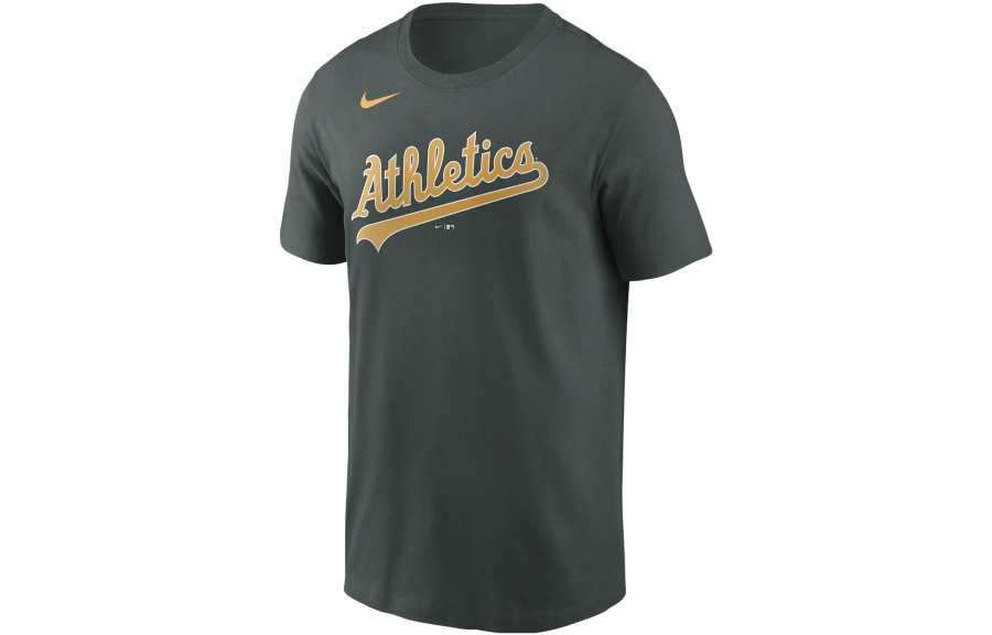 Nike Nike T Shirts Men's Olive Green Crew Neck Moderate Straight Fit